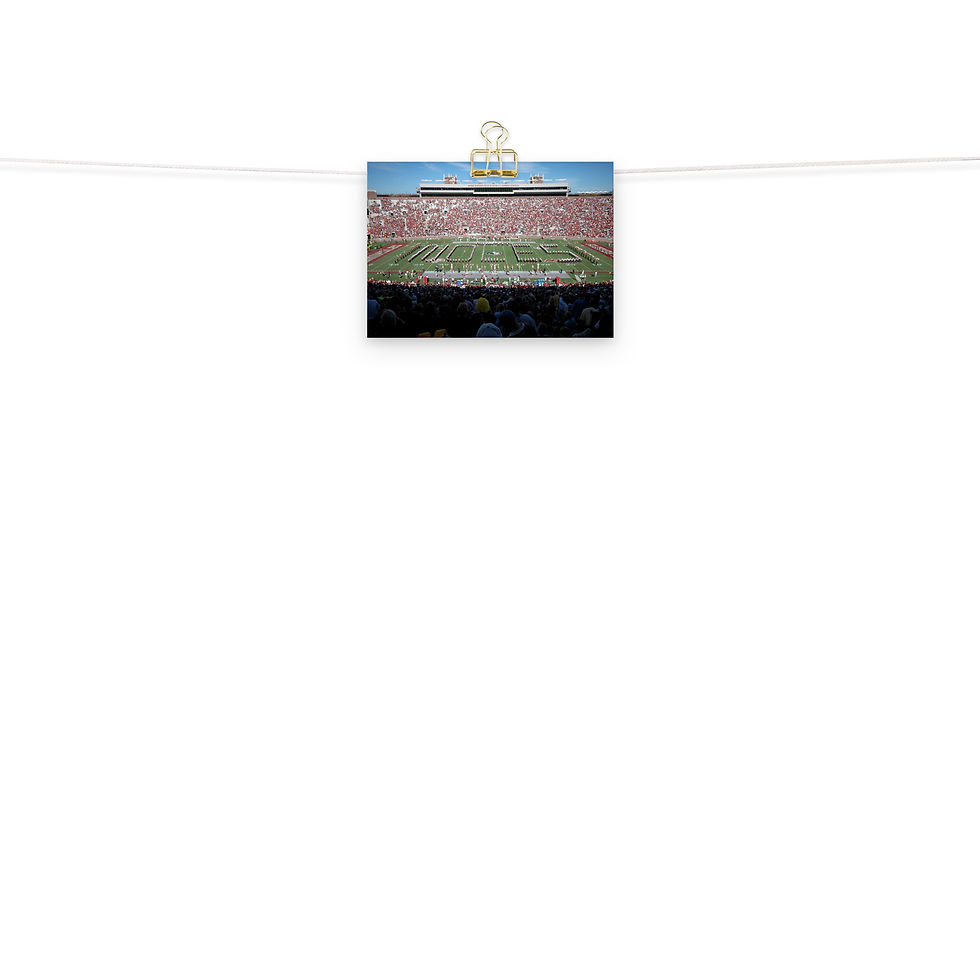 Thumbnail: Florida State Seminoles 2008 Poster