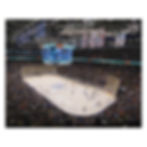 Scotiabank Arena Puzzle1