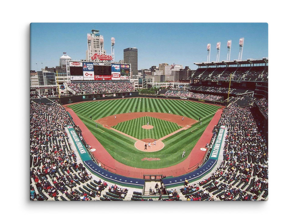 Progressive Field Canvas-3