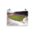 Sanford Stadium Poster1