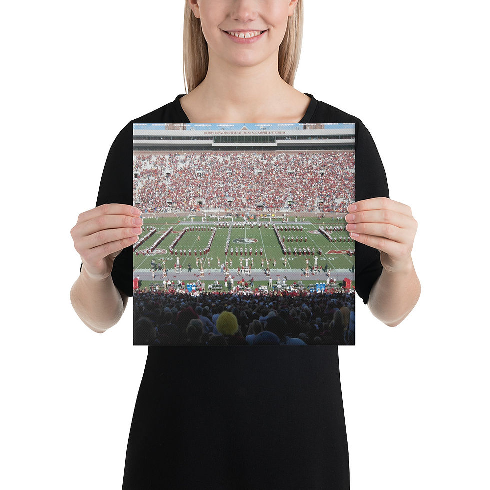 Thumbnail: Florida State Seminoles 2008 Canvas