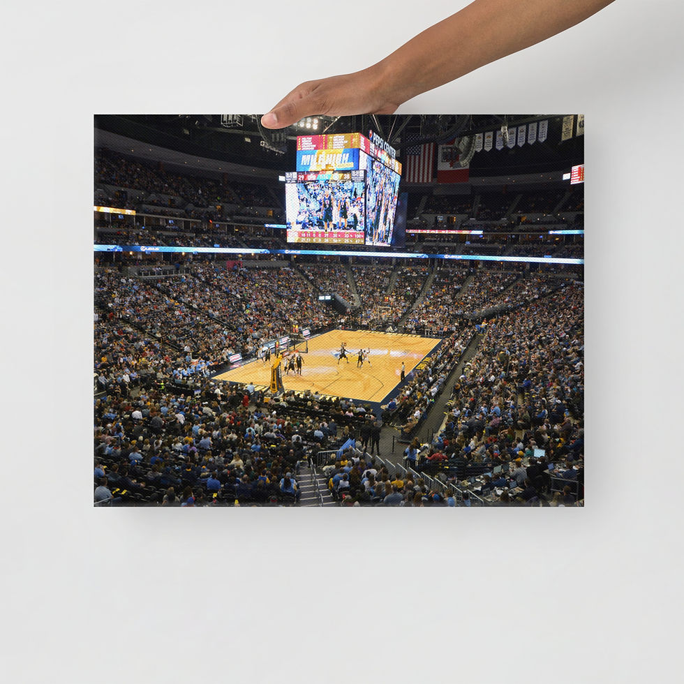 Thumbnail: Denver Nuggets 2017 Canvas