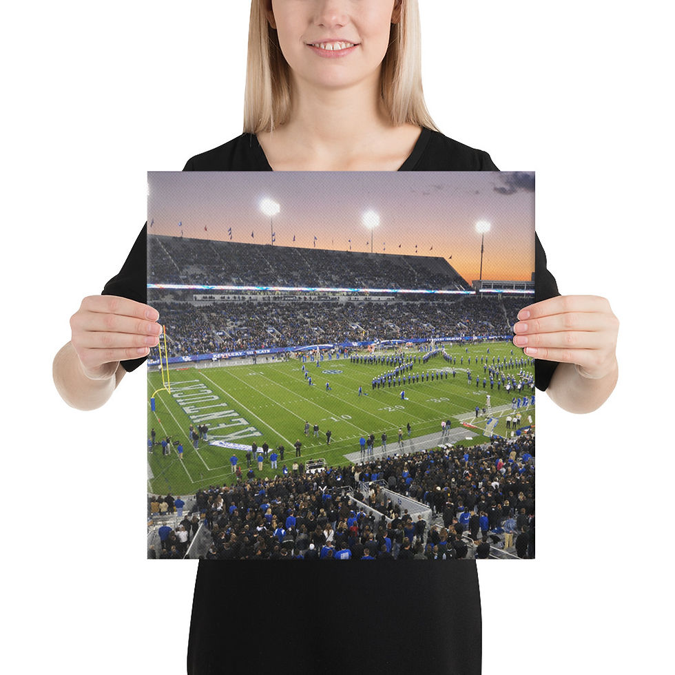 Thumbnail: Kentucky Wildcats 2011 Canvas