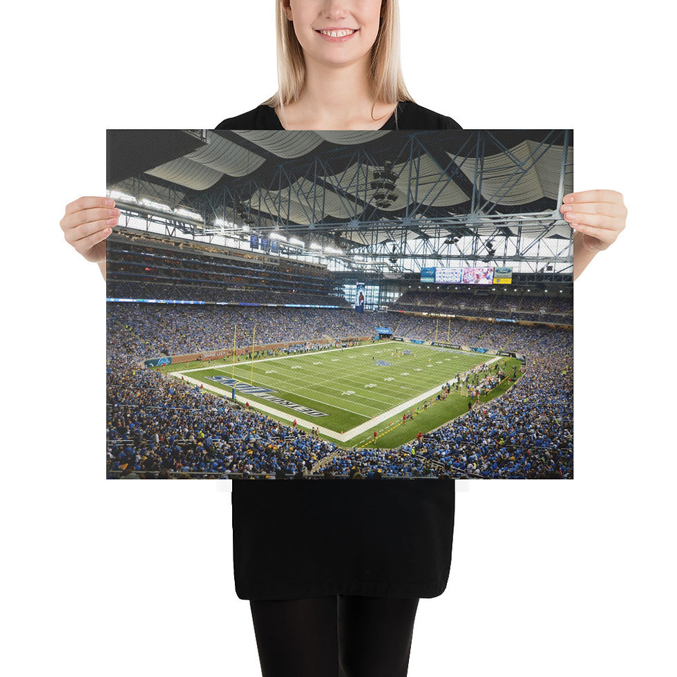 Thumbnail: Detroit Lions 2014 Canvas