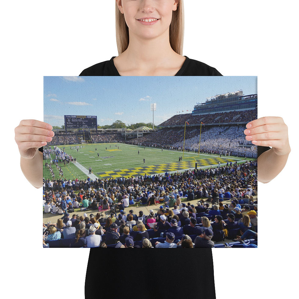 Thumbnail: Navy Midshipmen 2019 Canvas