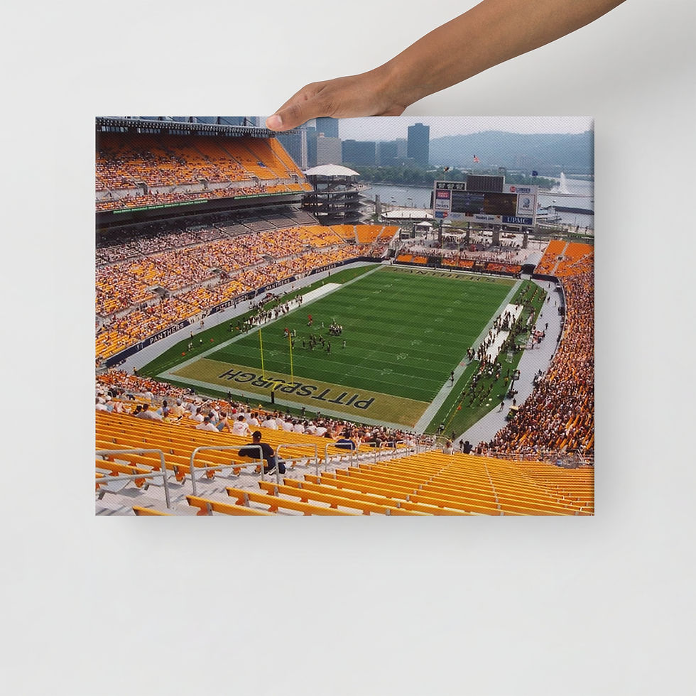 Thumbnail: Pittsburgh Steelers 2001 Canvas