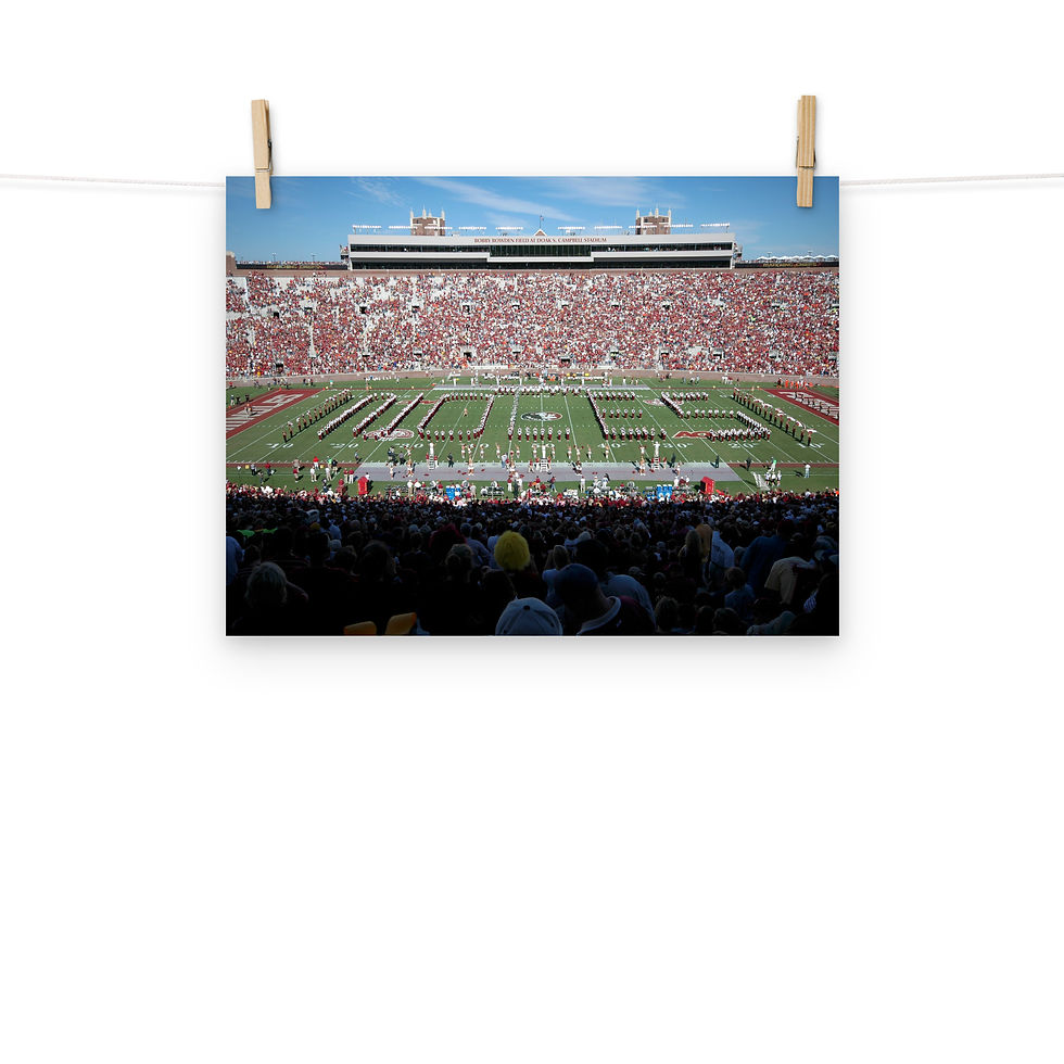 Thumbnail: Florida State Seminoles 2008 Poster