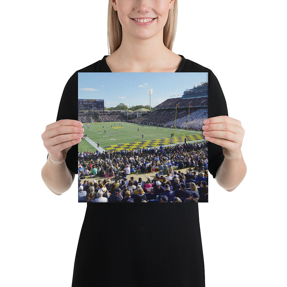 Thumbnail: Navy Midshipmen 2019 Canvas