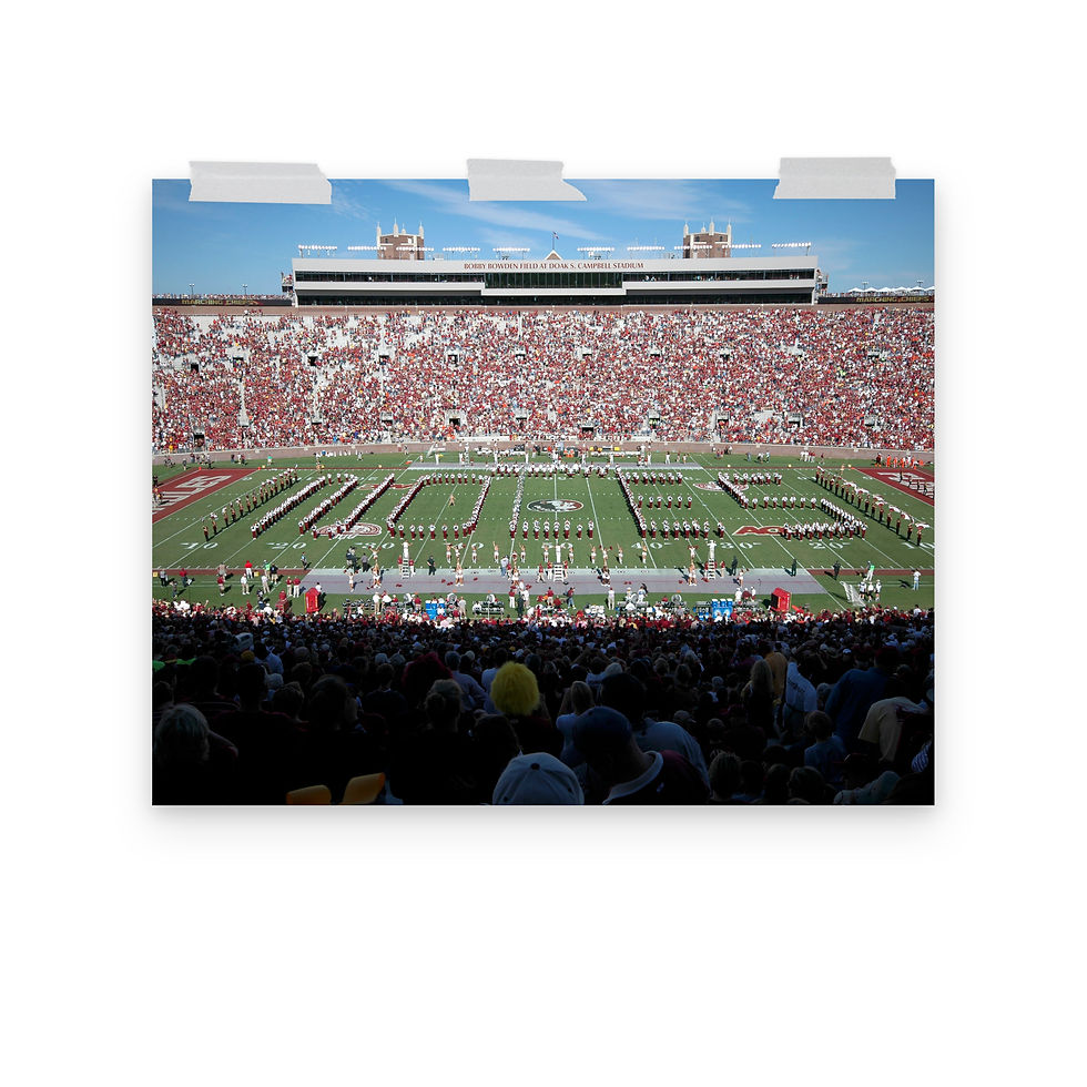 Thumbnail: Florida State Seminoles 2008 Poster