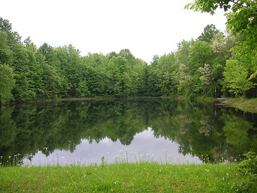 Screenshot 2022-01-11 at 20-04-35 Small lake big pond.png