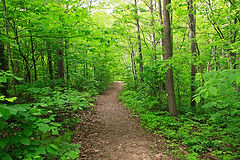 Great_River_Bluffs_State_Park_09.jpg