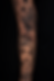 Tattoo Art on Arm from Tattoo Artist Brandon