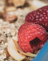 Crumble de maca e sumo mirtilo. 4.JPG