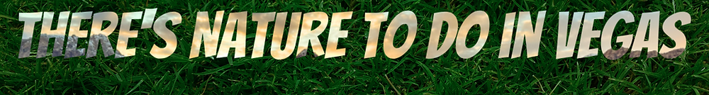There's Nature to do in Vegas (Medium Banner (US) (Landscape)).png