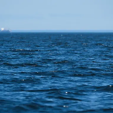 oceano.webp
