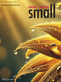 Cover_smll202570048-gra-0001-m.jpg