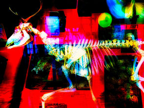 大竹啓文の写真と2つの質問の回答を掲載しています。