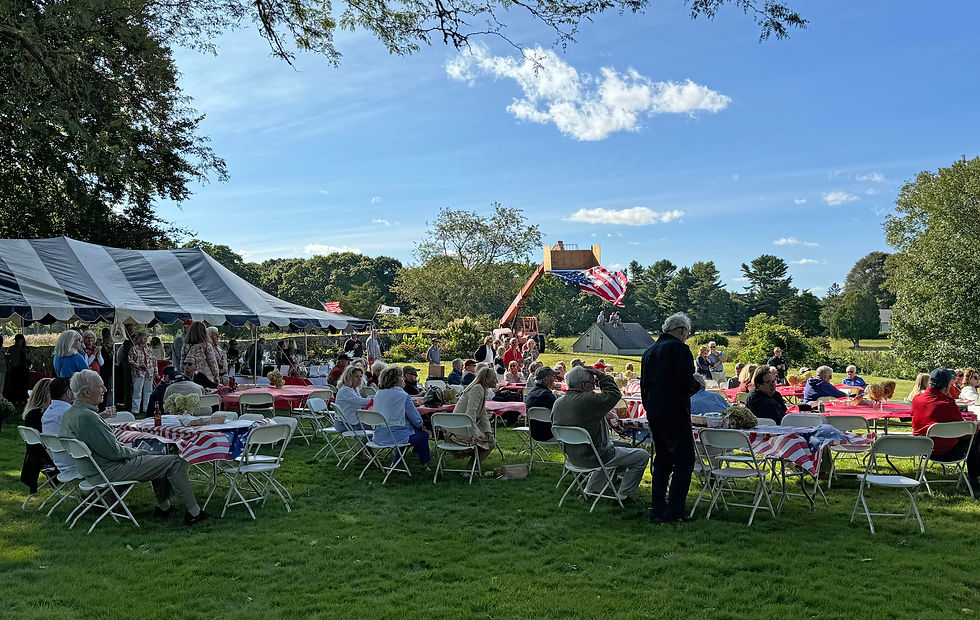 crowd-flag.jpg