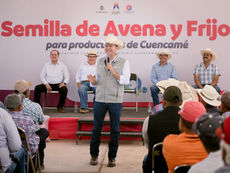 Cuencamé recibe 90 toneladas de semilla de avena, 50 de frijol y 40 de suplemento alimenticio para mejorar la producción del campo