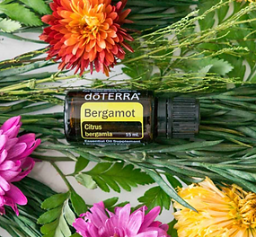 Screenshot 2025-11-09 at 5.39.32 PM.png