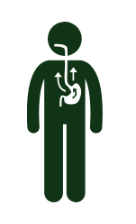 Reflux.png