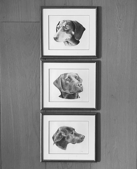 Dog Portraits - Pencil Drawings