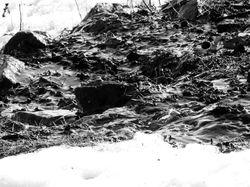 spring thaw