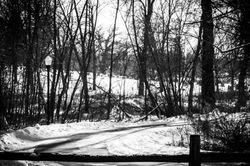 Walk path