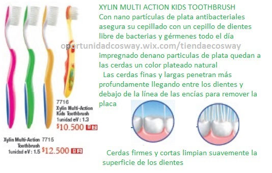 XYLIN CEPILLO DENTAL