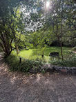 Briar Patch Lawn