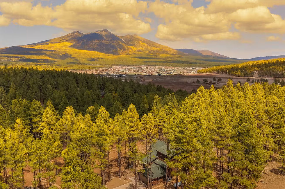 Flagstaff Property_edited.jpg