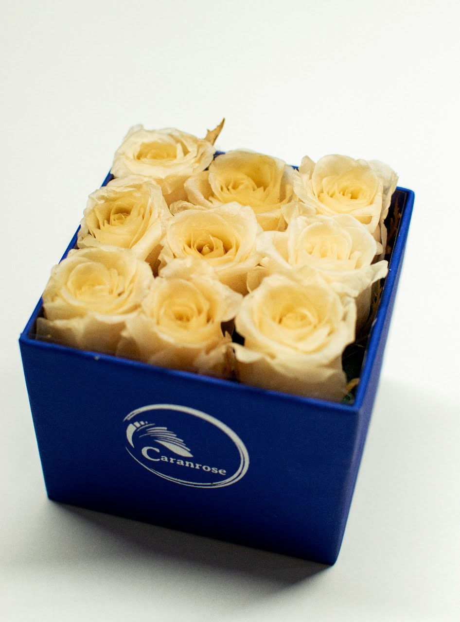 Thumbnail: Natural immortal longlasting everlasting eternal ivory  roses