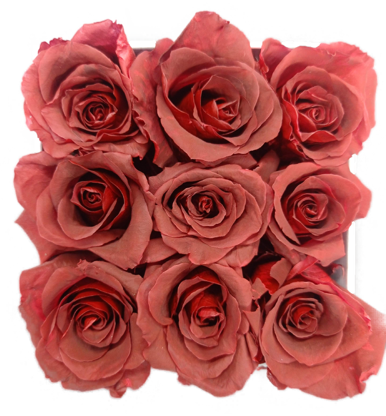 Thumbnail: Natural immortal longlasting everlasting eternal marron roses