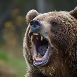 Roaring Bear.webp