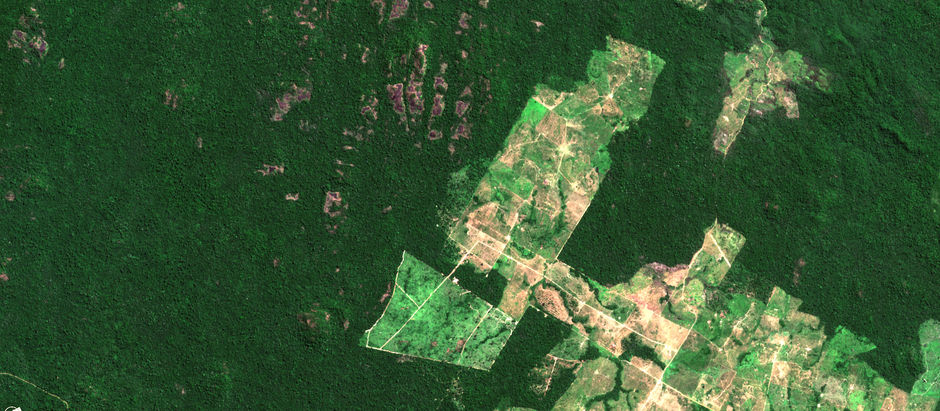 Benchmarking Traceability and EUDR Compliance Solutions For Cocoa