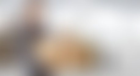 How to approach the best movers in Charlotte, North Carolina?