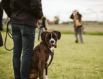 Canivia_WEB_15052026-3.jpg