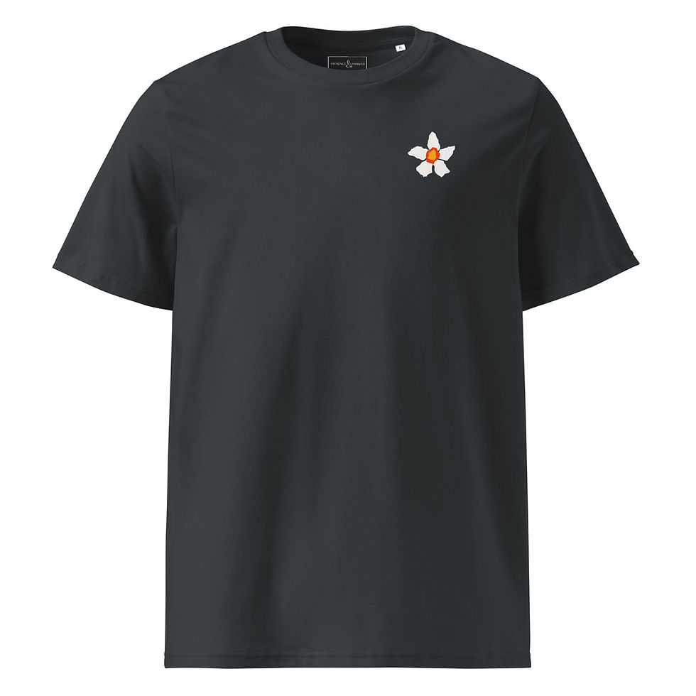 Thumbnail: Embrace what always matters