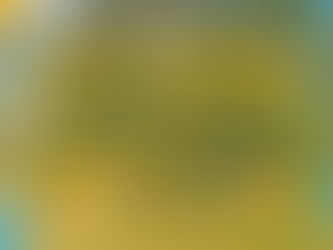 Saúde de Iretama ganha RS 250 mil