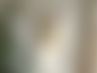 Why Vintage Prints are Timeless Choices