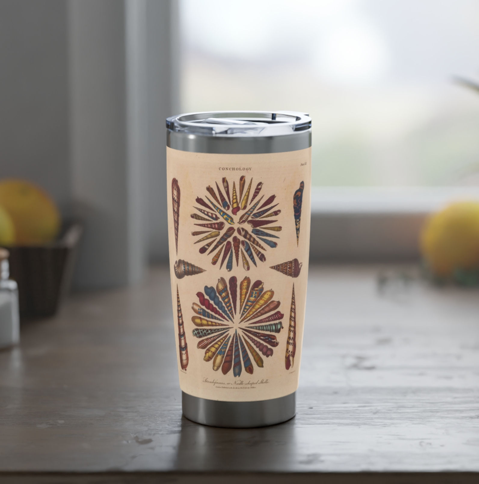 Shells Tumbler / 20oz Vintage Marine Life Art, John Wilkes 1810