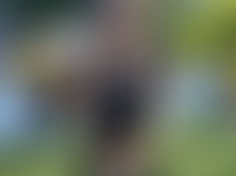 Chaussée des Géants