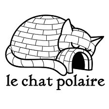 chat-polaire2.jpg