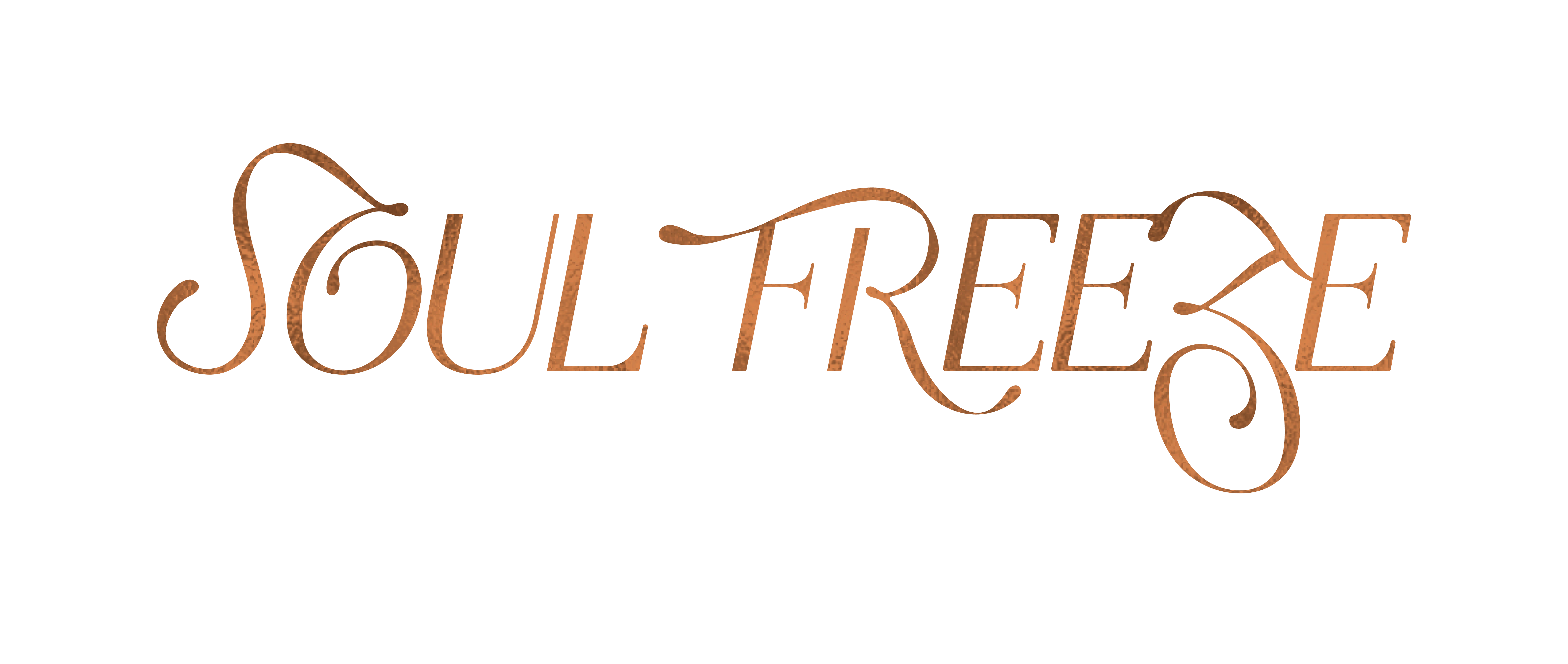 Primary Logo