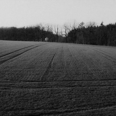 BACK TO NATURE