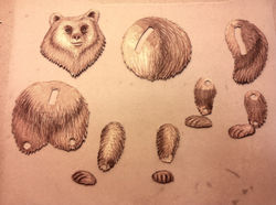BEAR_puppet_02