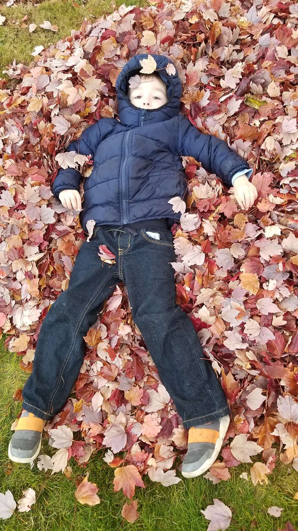 high angle photography looking down at boy laying in fall leaves