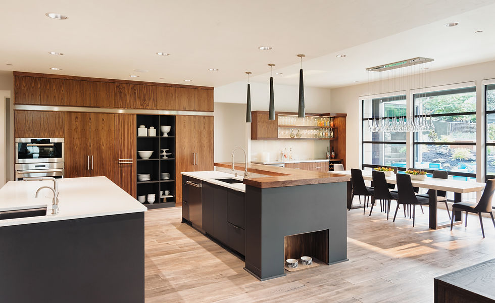 Kitchen Remodeling_edited.jpg