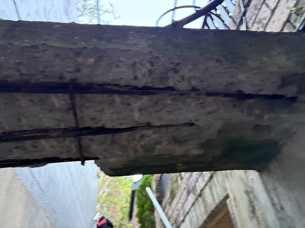 Concrete spalling repairs northshore