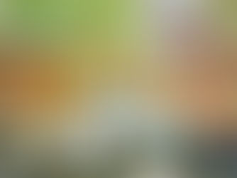 Remedial Building Services